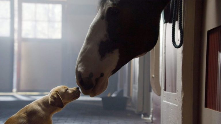 Best Super Bowl commercials ever: Ad Meter winners through the years